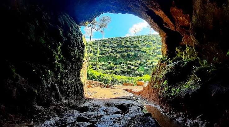Pazhassi's Cave